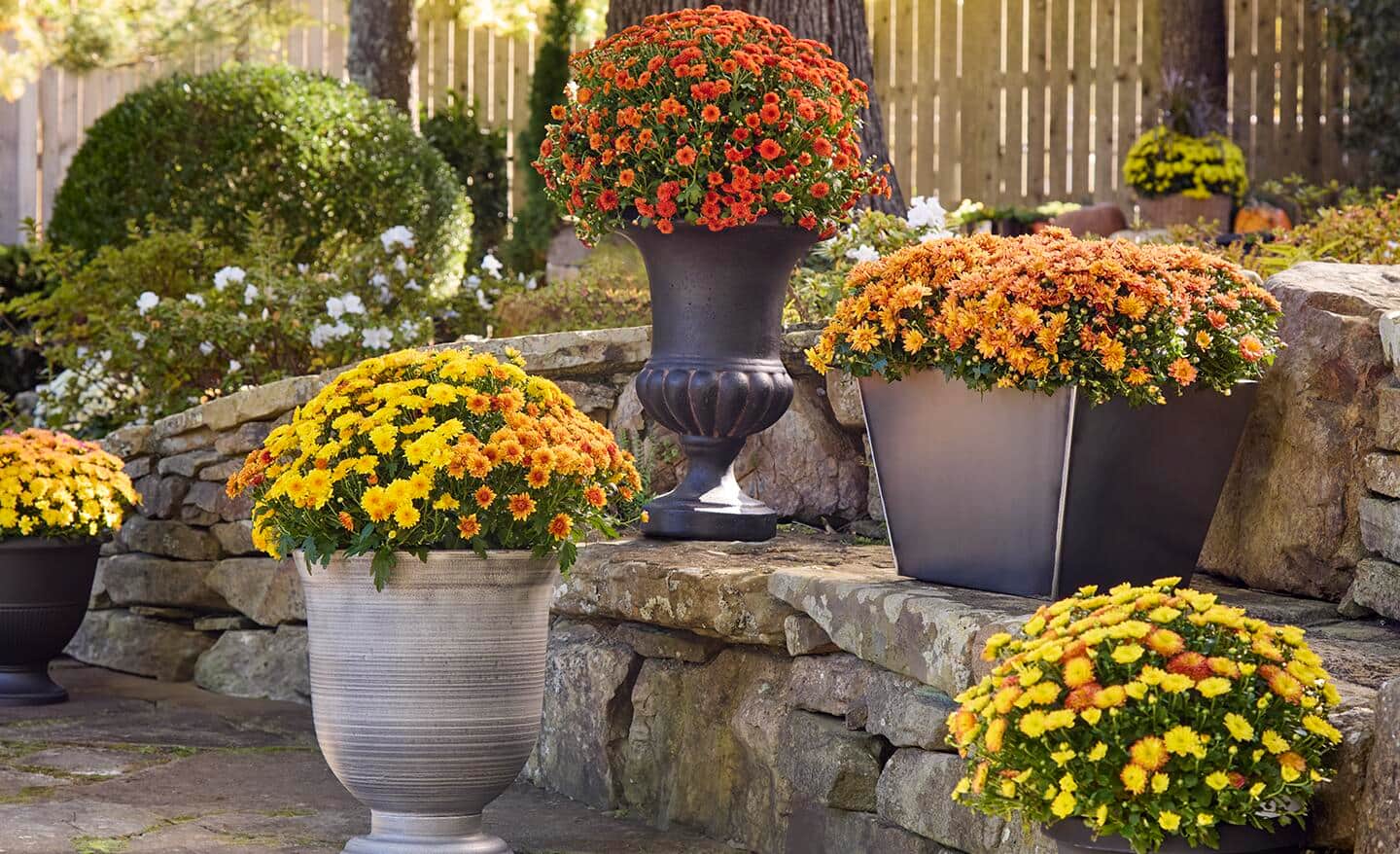 23 Ideas for Fall Decorating with Mums - The Home Depot